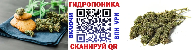 kraken ONION Тихвин Печенье с ТГК марихуана