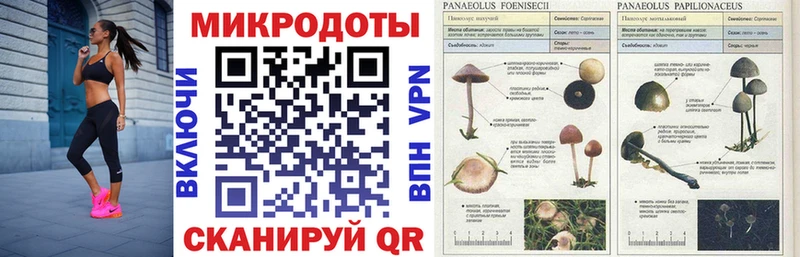 даркнет сайт  Тихвин  Галлюциногенные грибы Magic Shrooms 