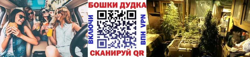 Канабис SATIVA & INDICA Тихвин